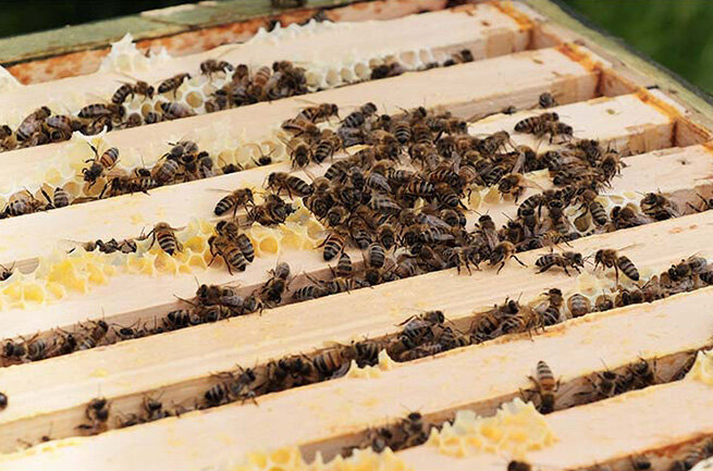 Nachhaltigkeit bei MiniTec